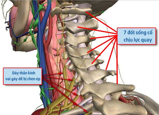 Đau mỏi cổ-vai-gáy
